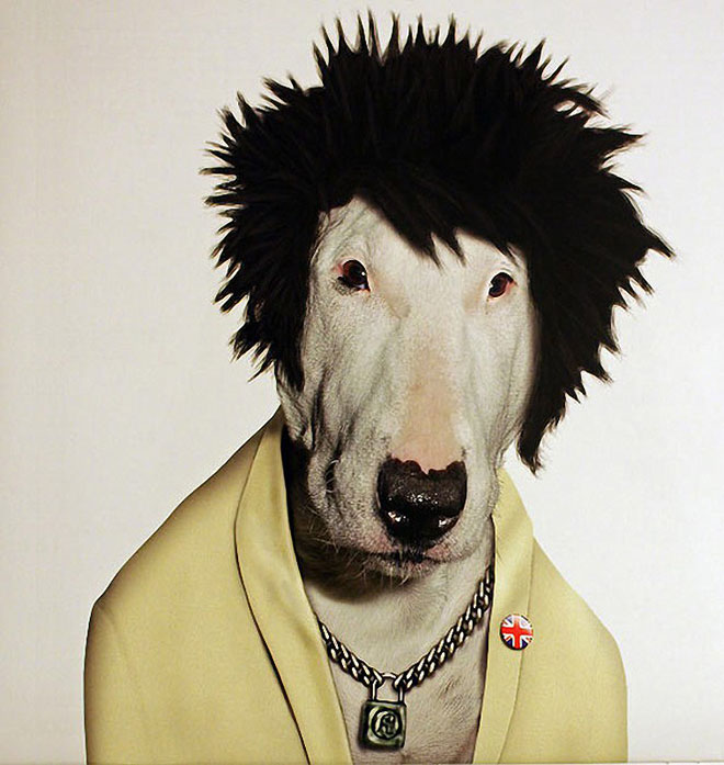 Sid Vicious - Dog Disguisefamous person faces celebrity animal funny